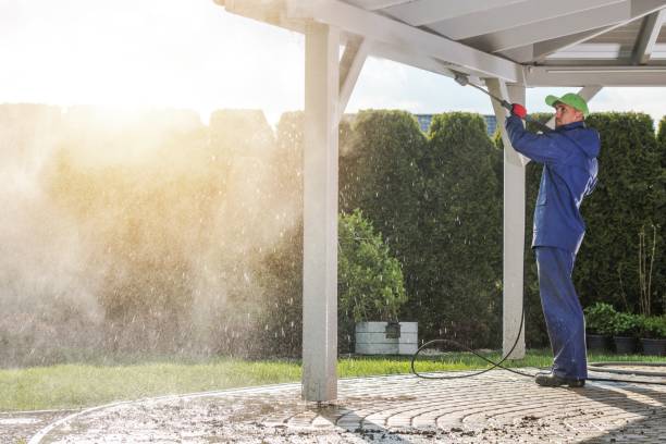 Best Roof Washing  in Stone Park, IL